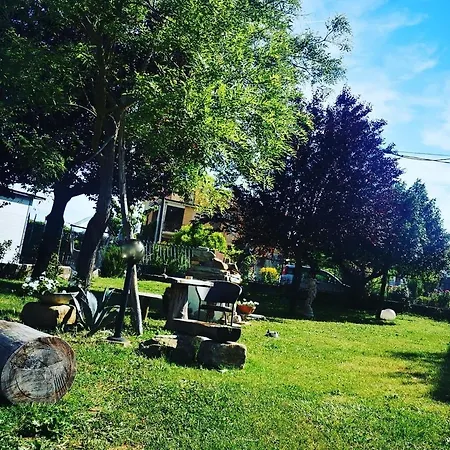 La Pineta