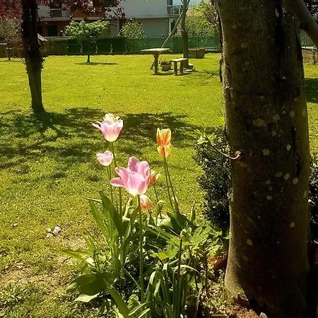 La Pineta * Умбертиде