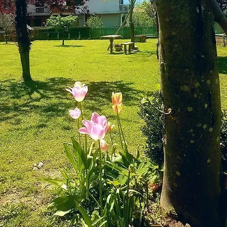 La Pineta Apartment Umbertide