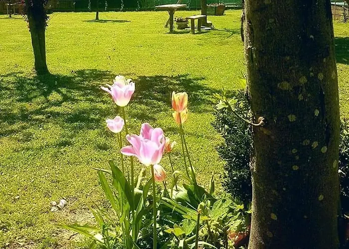 La Pineta Appartement Umbertide